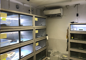 特定動物コーナー