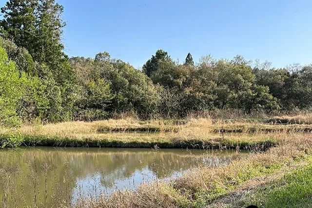 ベトナム 養殖場