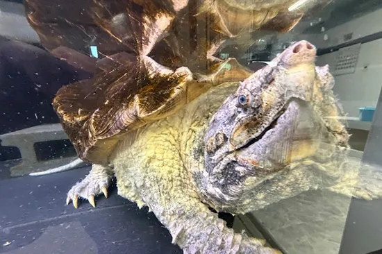 私たちの目指す未来